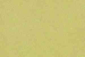 Линолеум Forbo Marmoleum Marbled Fresco 3885-388535 spring buds фото  | FLOORDEALER